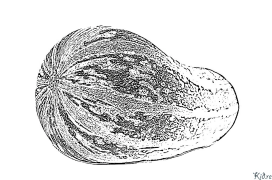 sikuea Itulau Lanu Lolomi